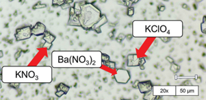 Screenshot of article on archive website