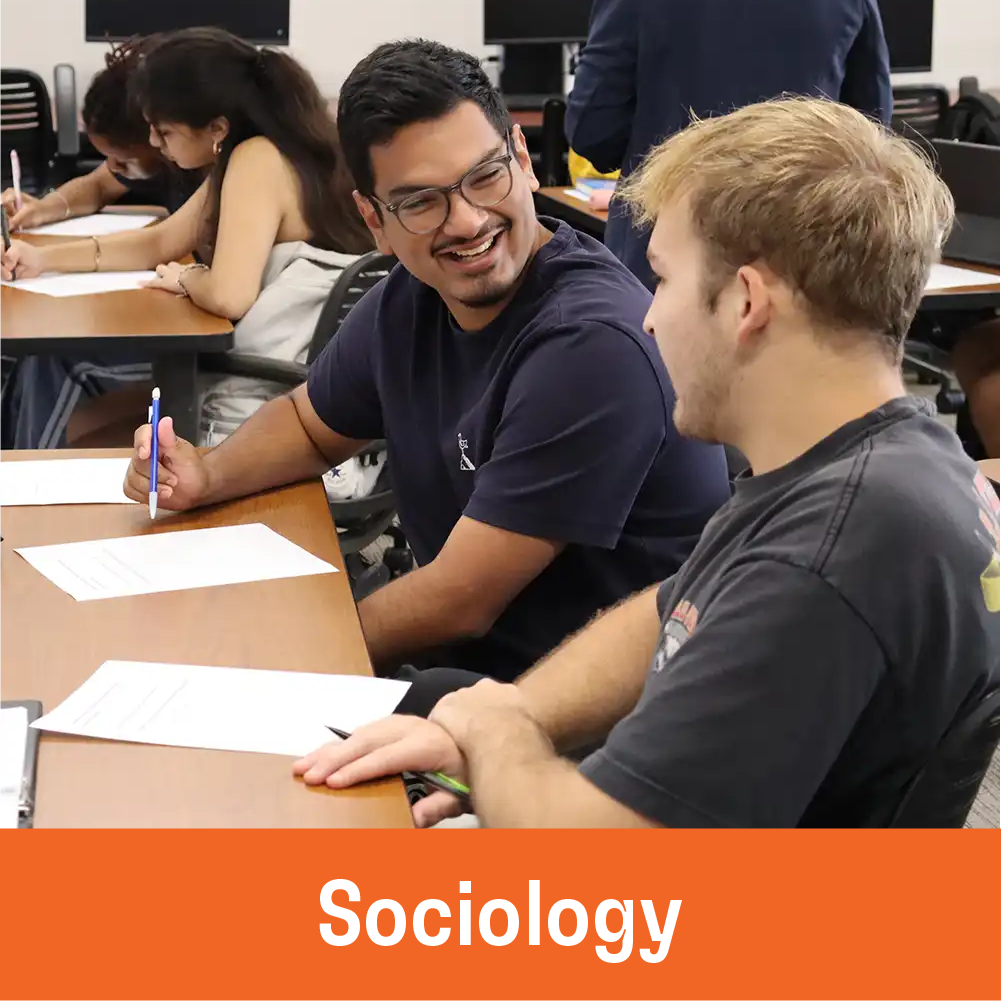 sociology.webp
