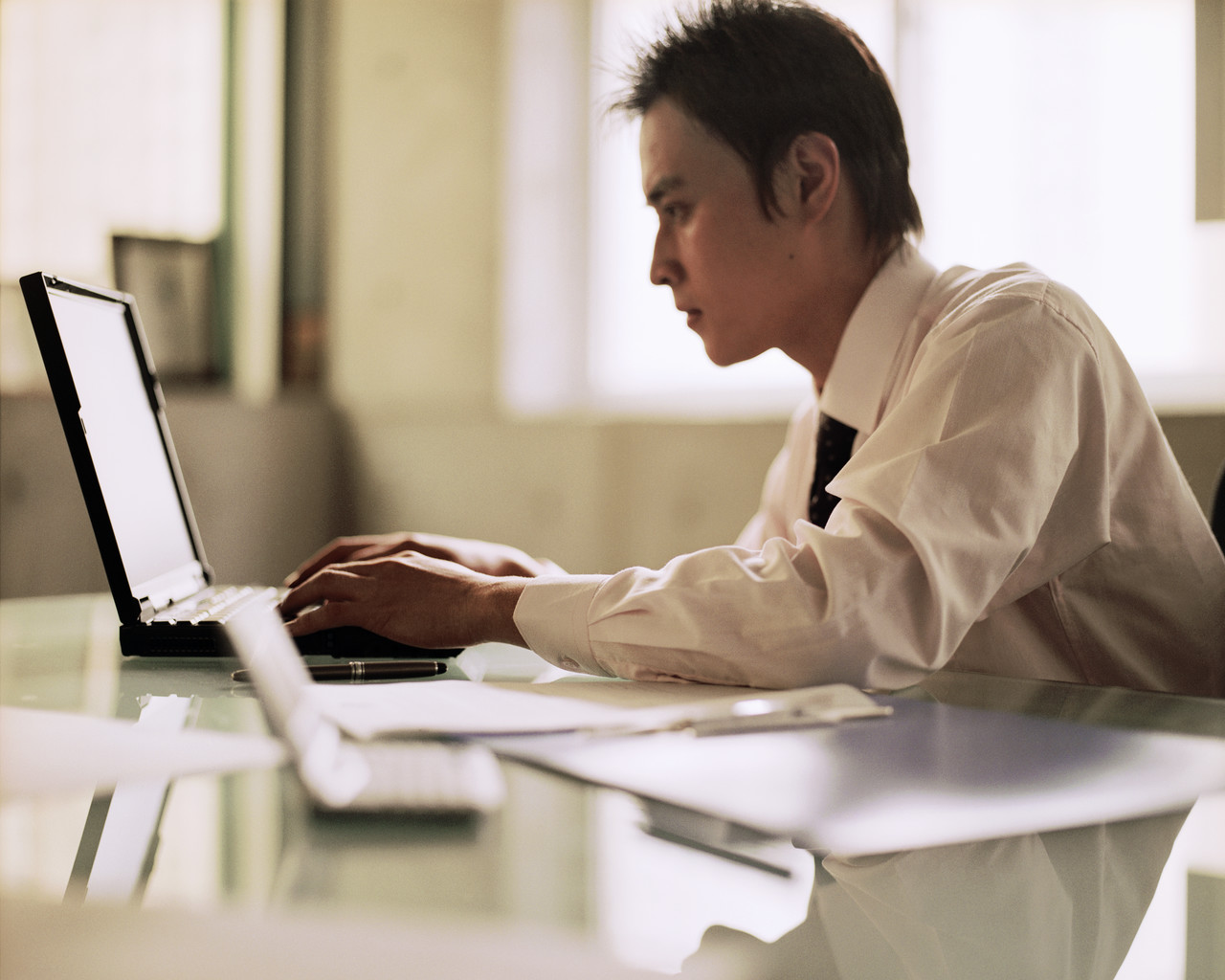 Professional Vita Professional Vita